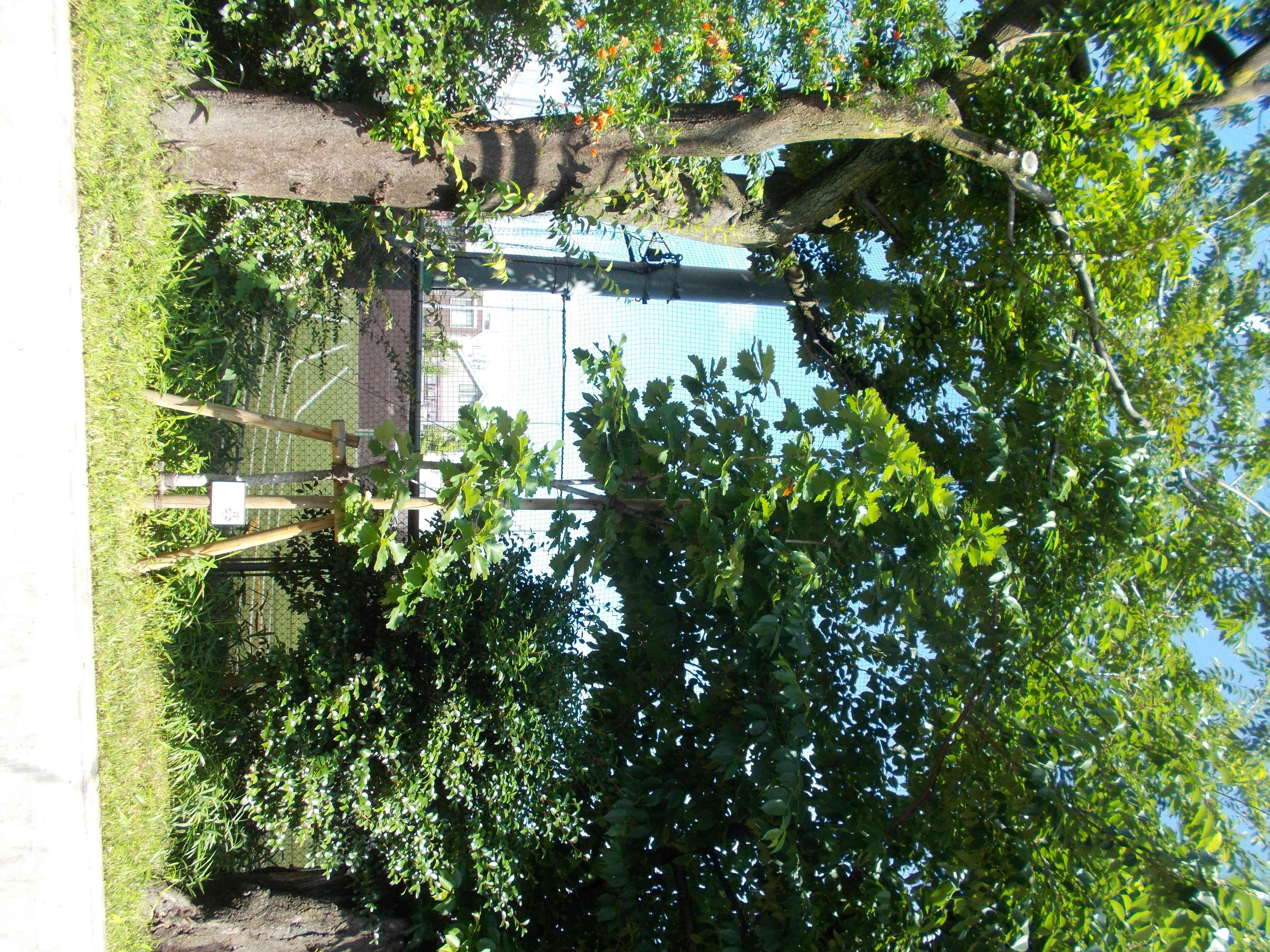 DSCN0656